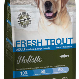 Blitz Holistic СВЕЖАЯ ФОРЕЛЬ — монопротеиновый сухой корм для взрослых собак средних и крупных пород