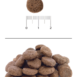 Blitz Holistic ГОВЯДИНА И БЕЛАЯ РЫБА — беззерновой сухой корм для взрослых собак средних и крупных пород