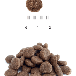 Blitz Holistic СВЕЖАЯ ФОРЕЛЬ — монопротеиновый сухой корм для взрослых собак средних и крупных пород