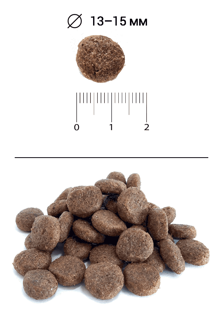 Blitz Holistic СВЕЖАЯ ФОРЕЛЬ — монопротеиновый сухой корм для взрослых собак средних и крупных пород