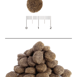 Blitz Holistic СВЕЖИЙ ЯГНЁНОК — монопротеиновый сухой корм для взрослых собак средних и крупных пород
