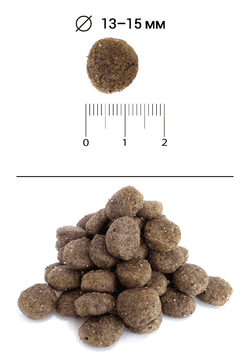 Blitz Holistic СВЕЖИЙ ЯГНЁНОК — монопротеиновый сухой корм для взрослых собак средних и крупных пород