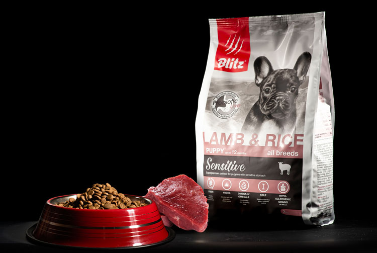 Можно ли давать сухой корм и мясо собакам?