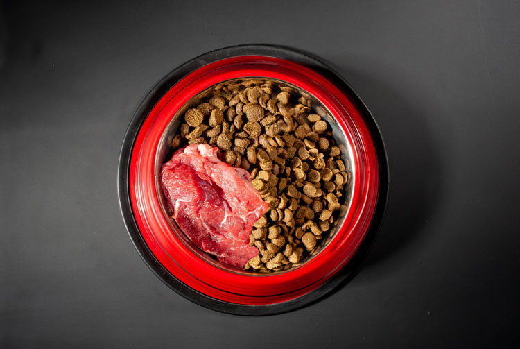 Сочетаются ли сухой корм и мясо?