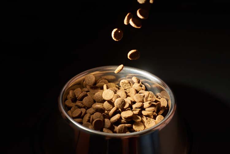 Как определить дозировку сухого корма для собак?