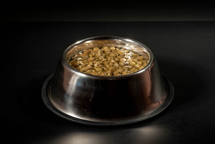 Как размочить сухой корм в воде?