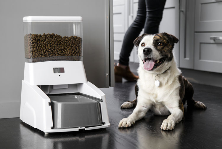 Автоматическая кормушка для сухого корма