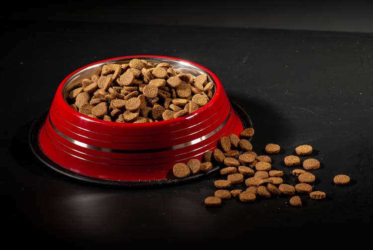 Что такое гранула сухого корма?
