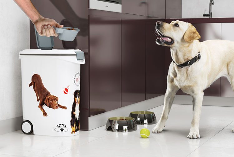 Как выбрать контейнер для сухого корма для собак?