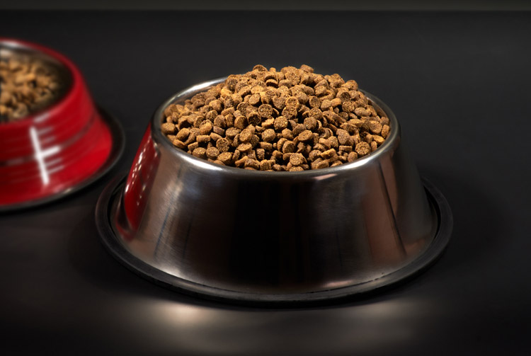 Как сделать правильный выбор сухого корма?