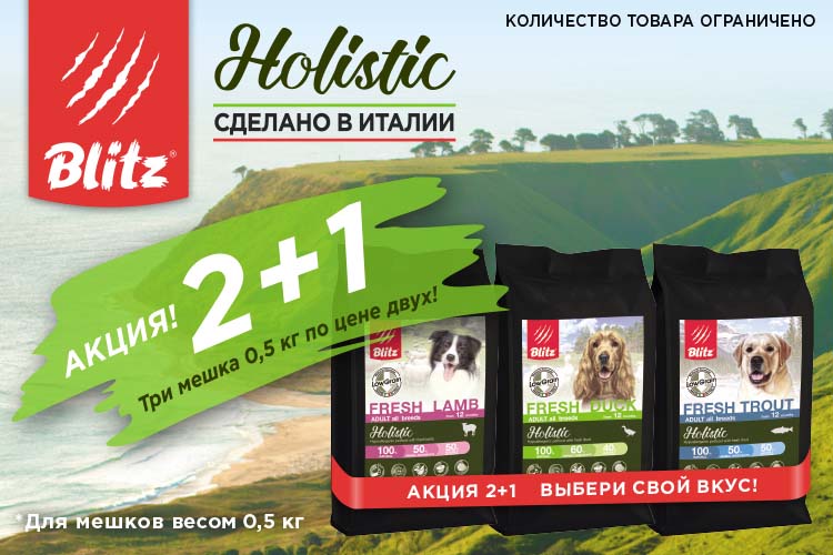Акция на корма Blitz Holistic для собак в ноябре и декабре 2019