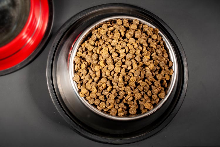 Готовые сухие корма: особенности производства и применения