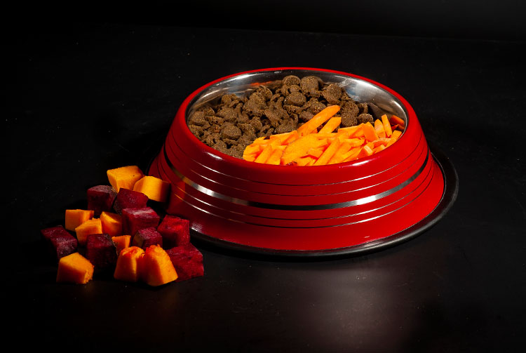 Можно ли смешивать сухой корм и овощи для собак?