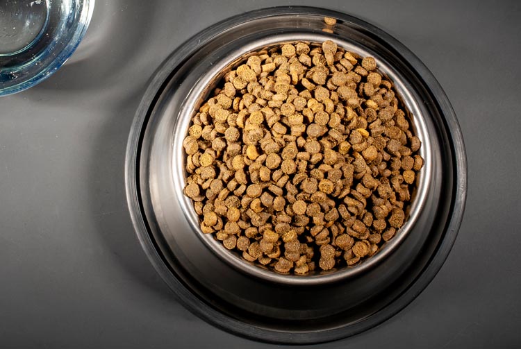 Полезен ли сухой корм?