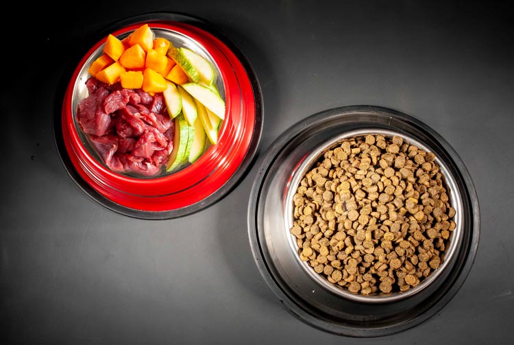 Cухой корм или «натуралка» — что лучше для питомца?