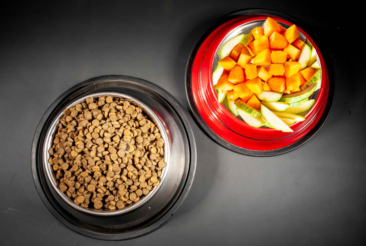 Почему не стоит совмещать овощи и сухой корм?