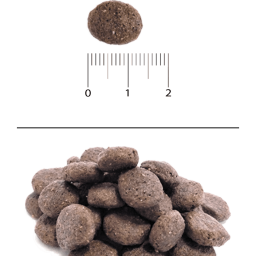 Blitz Holistic ЯГНЁНОК И УТКА — беззерновой сухой корм для взрослых собак средних и крупных пород