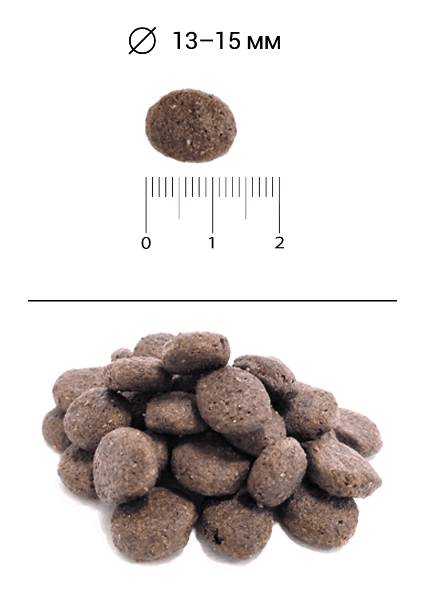 Blitz Holistic ЯГНЁНОК И УТКА — беззерновой сухой корм для взрослых собак средних и крупных пород