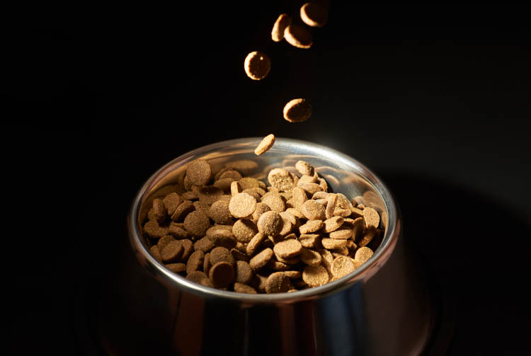 Изготовление сухого корма