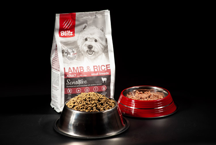 Что лучше — сухой корм или консервы?