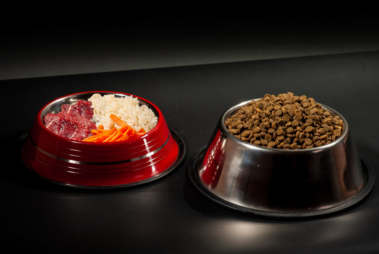 Cухой корм или натуральное питание — что лучше для собак и кошек?