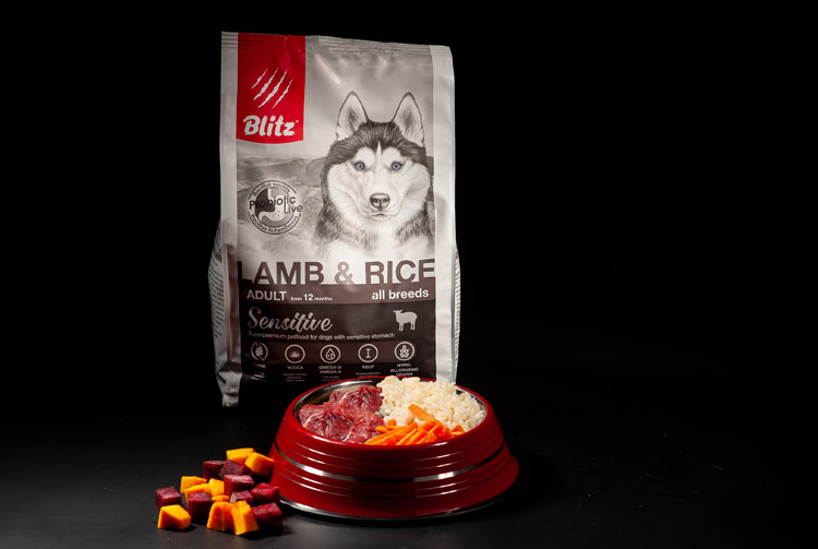 Сухой корм или «натуралка» — мнение специалистов