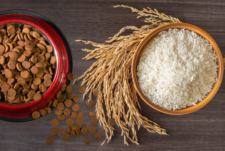 Крупы в рационе собаки: польза или вред для питомца?