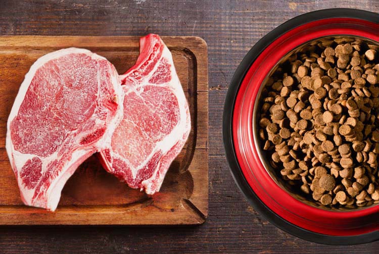 Мифы о свинине в рационе собаки