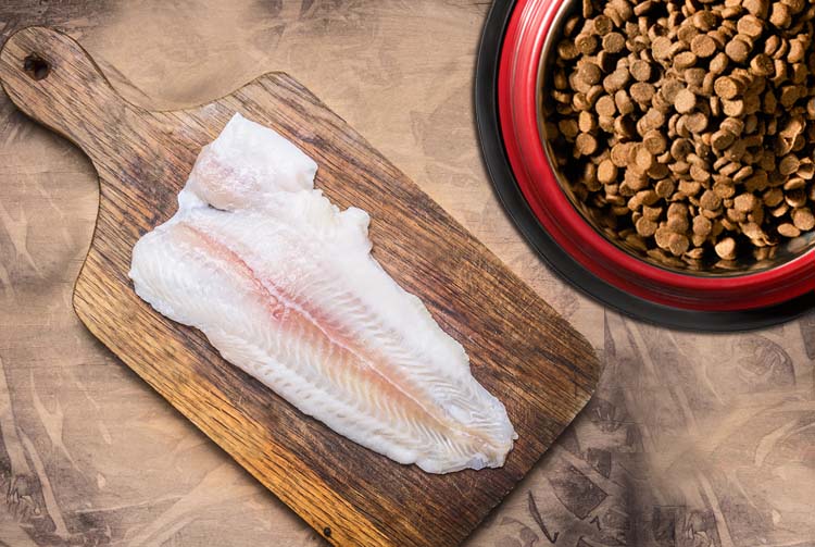 Рыба: опасность или польза в рационе собаки?