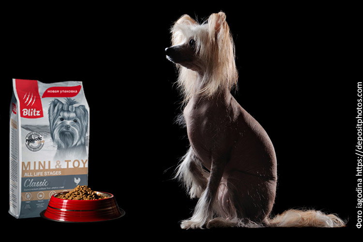 Питание китайской хохлатой собаки