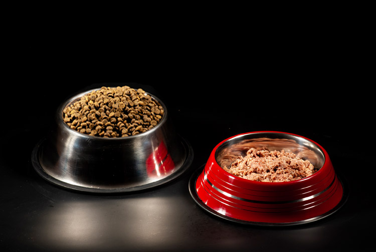 Сухой корм и консервы — сочетать или нет?