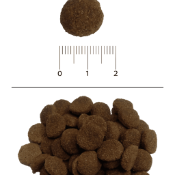 Blitz Classic с домашней птицей сухой корм для взрослых собак всех пород