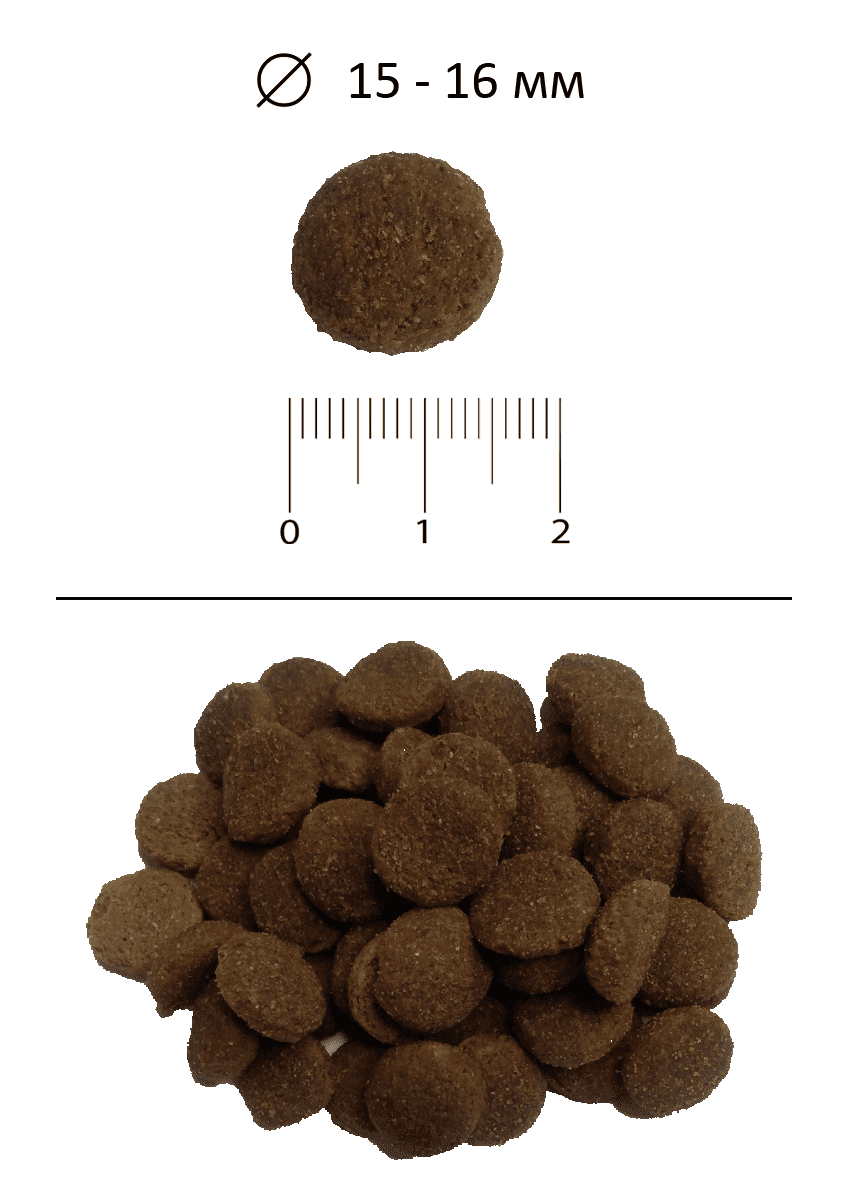 Blitz Classic с домашней птицей сухой корм для взрослых собак всех пород