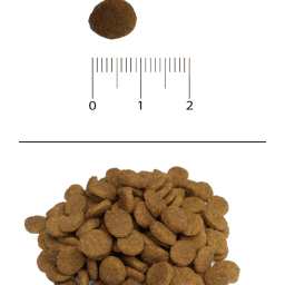 Blitz Sensitive «Говядина» сухой корм для взрослых кошек