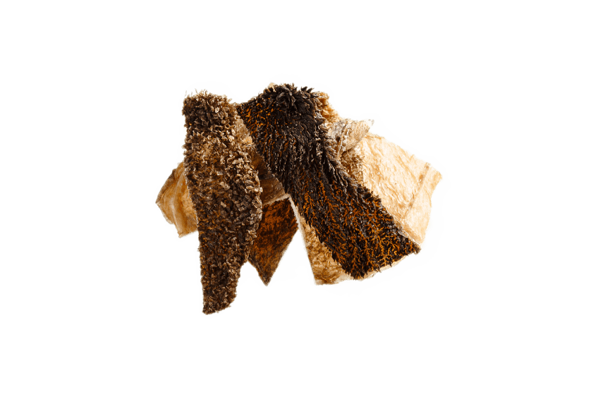 BLITZ сублимированное лакомство для собак «РУБЕЦ»