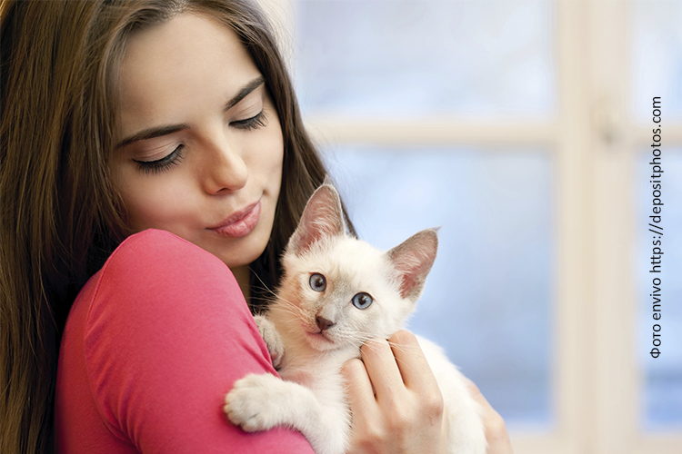 Каким рационом кормить котят до года?