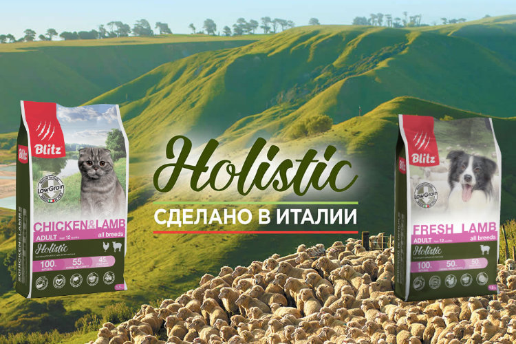 Что значит «корма класса холистик»?