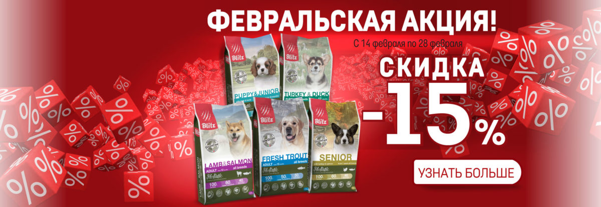 Февральская акция!