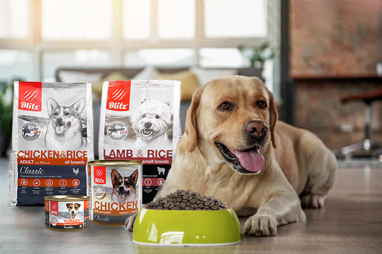 Корм для собак российского производства