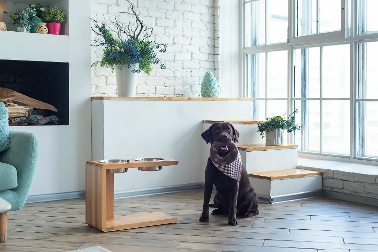 Гипоаллергенный корм для собак крупных и средних пород