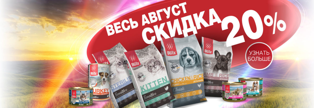 Весь Август скидка 20%!