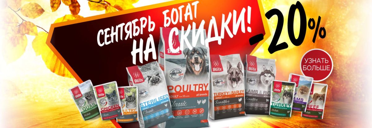 Сентябрь богат на скидки!
