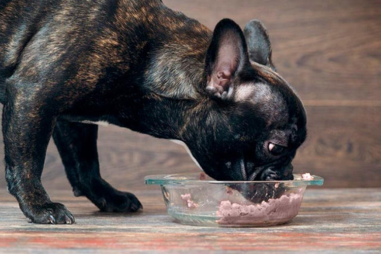 Влажный корм для собак холистик-класса: Blitz рецепт