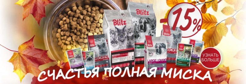 Счастья полная миска