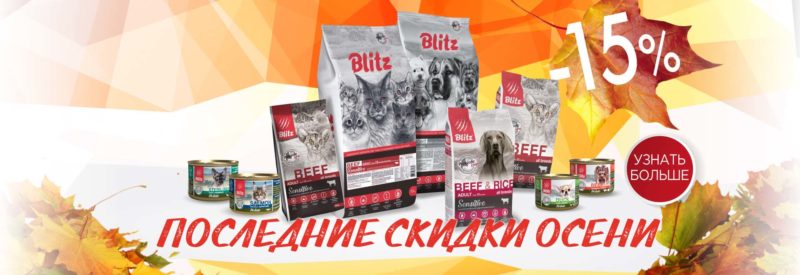 Последние скидки осени Последние скидки осени