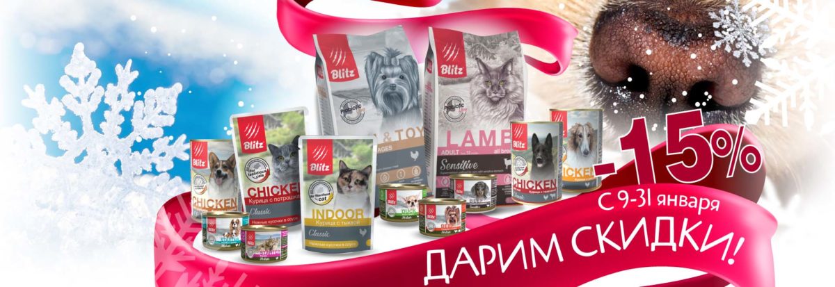 Новый год – новые скидки!