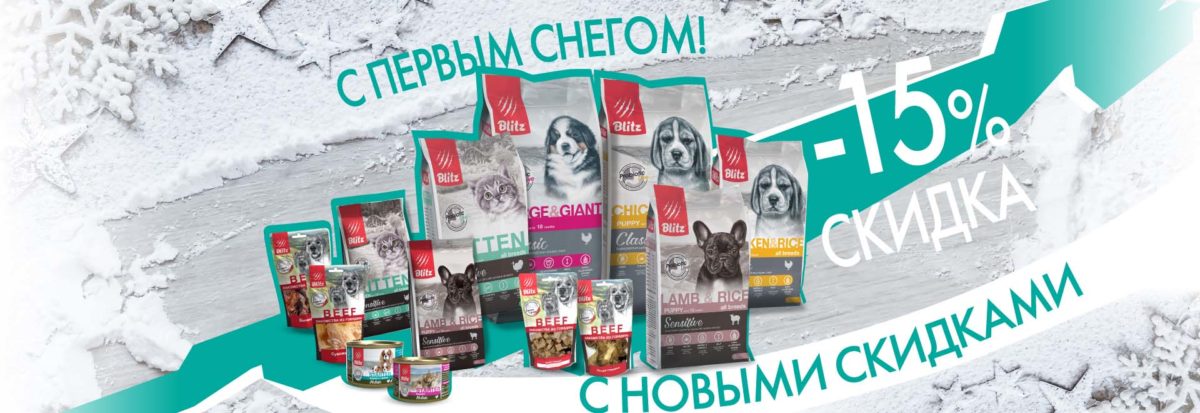 С первым снегом!