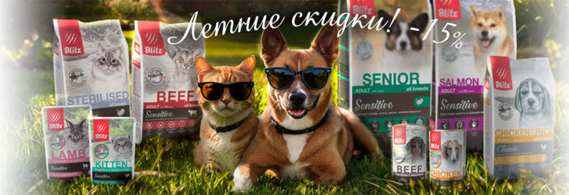 Летние скидки! 15% Летние скидки! 15%
