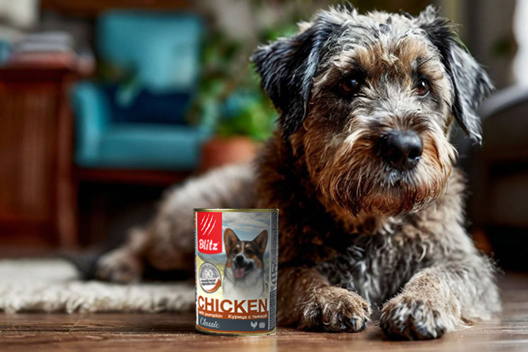 Какие консервы подойдут для пожилых собак?