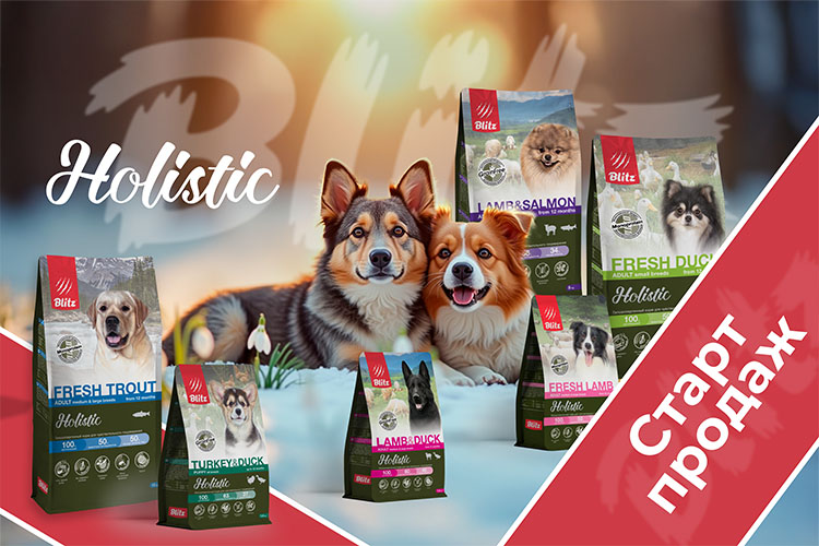 Суперновость: встречаем обновлённую линейку Blitz Holistic!